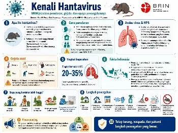 BRIN Imbau Masyarakat Waspadai Hantavirus: Kenali Penularan, Gejala, dan Cara Pencegahannya