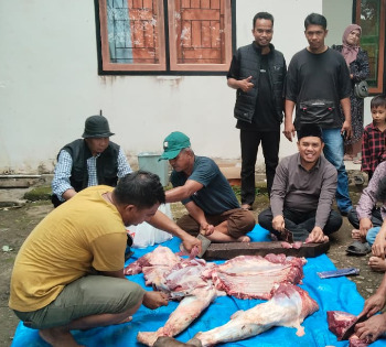Wakil Bupati Buton, Syarifudin Saafa, S.T., menghadiri langsung kegiatan penyembelihan hewan kurban yang diselenggarakan oleh Dewan Pengurus Daerah (DPD) Partai Keadilan Sejahtera (PKS) Kabupaten Buton di Pasarwajo, Kamis, 28/05/2026. (Foto: La Ampi - Takawa ID)