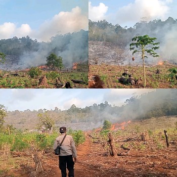 Kebakaran Melanda Kawasan GOR Lambiku Buton, Petugas Gabungan Berjibaku Padamkan Api